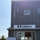 한아름농장 | [서귀포 체험농장] 2월에 허락된 황금빛 천혜향, 봉봉감귤체험농장과 감성적인 카페 귤바테에서 보낸 오후