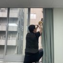 자인힐병원 이미지