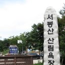 서봉산 산림욕장 2 이미지