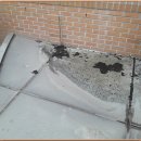 용인한국외국어대학교부설고등학교 이미지