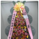 법무법인한울 이미지