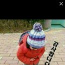 돼지마을 이미지