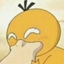 쿠디 이미지
