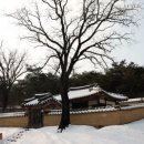 저우리마을 서울경제