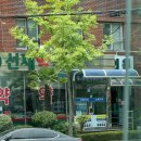 선재약국 이미지