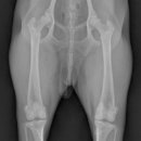 뉴타운동물병원 이미지