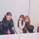브라이브인 Daum카페