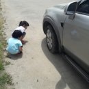 동삼약국 이미지