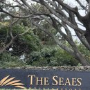 씨에스전자 | 제주도 서귀포 중문관광단지 럭셔리 독채 자쿠지 숙소 내돈내산 솔직 후기 :: 씨에스 호텔 앤 리조트