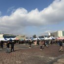 중원-68 | [경기성남] 모란시장 오일장 다녀온 후기｜4일·9일 장날에 제대로 구경했어요