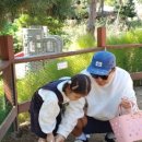 채희농장 이미지