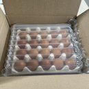 농업회사법인 대관령양떼목장 주식회사 | 농업회사법인 양계장청년 주식회사 :: 신선하고 탄탄한 난각1번 유정란