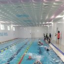 배방파인트리수영장 이미지