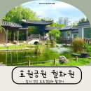 경기도 수원시 팔달구 동수원로 341 (인계동) | 수원 인계동 가볼만한 곳｜효원공원 월화원, 수원시청역 데이트 코스 추천