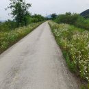 본1리마을회관 이미지