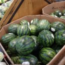 (주)롯데마트(충주점) 이미지