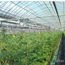 세도농장 이미지