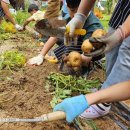 행복이룸학교 이미지