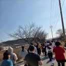 부성밧데리 | [Digital Health] 0에서 1로: 금산의 인삼 향기를 가르며 달린 5km의 기록