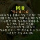 요거해 이미지