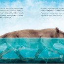 [여유당] 대왕고래-세상에서 가장 큰 동물에 관한 놀라운 이야기 이미지