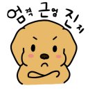 다나바이오 이미지