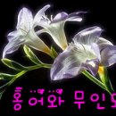 부곡3리 이미지