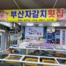 시장복어 이미지