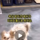하늘그리고너