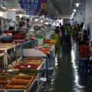 삼천포 코끼리길 이미지