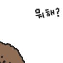 화성가설재 이미지