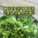 베타카로틴이 풍부한 고춧잎 나물 맛있게!! #shorts 이미지