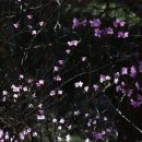 수도암 - 1450 | 수도암