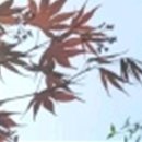 와인치과의원 이미지