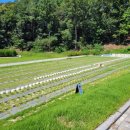 화성 함백산추모공원(화장장) 이미지