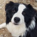 고니농장 이미지