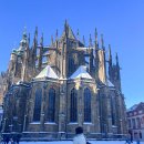 프라하 | 2030 동유럽 세미패키지 비교 체코 프라하 시내투어 후기