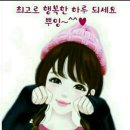 팔미가 Daum카페