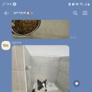 멍블랑 유치원 이미지