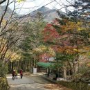 신대송어양식장 네이버블로그