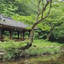 산앙정 이미지