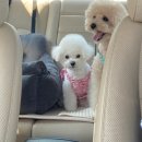 언더아멍 이미지