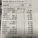 직녀 임보일기 2 (내원 기록, 하루 루틴, 예민함과 능력치) 이미지