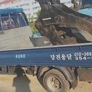 백암로 | 든든한 이사 파트너, 충남 당진 용달 이용 후기요!