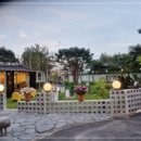 등뼈 감자탕&등갈비 이미지