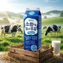 덴마크우유