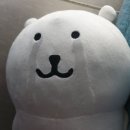포로롱 이미지