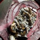 극동낚시터 이미지