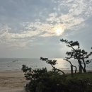 대천펜션 해와달 개별바베큐 독채 이미지