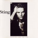 Fragile - Sting 이미지